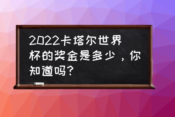 德国初级财务报表中文对照 2022卡塔尔世界杯的奖金是多少，你知道吗？